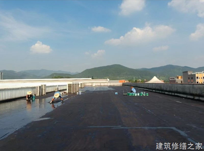 宣城2026绩溪县 彩钢瓦除锈翻新防腐 排名前十的源头厂家